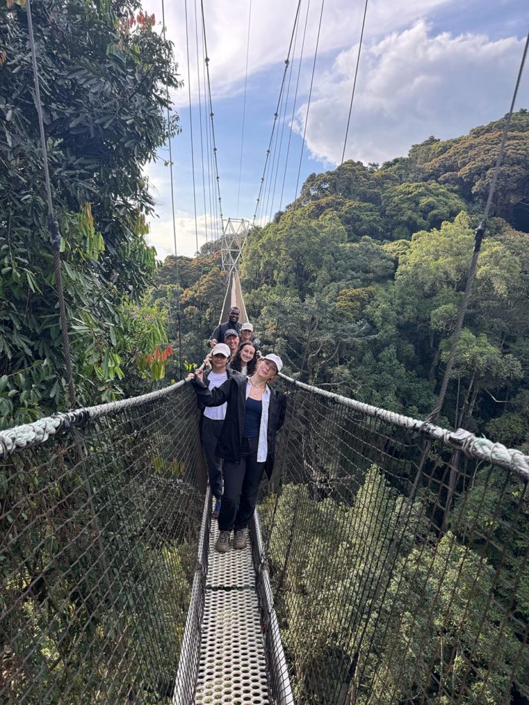 20250523_001738_51CEDC